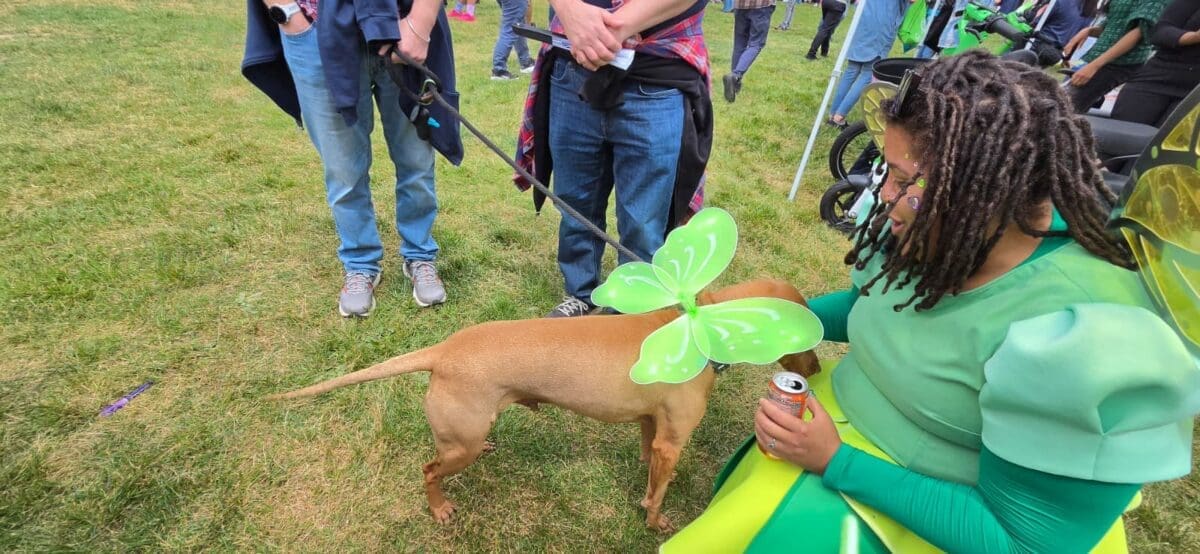 tooth fairy with dog